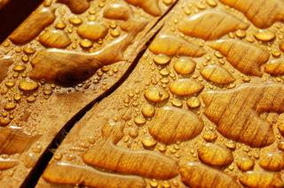 Největším nepřítelem dřevěných podlah je vlhkost.